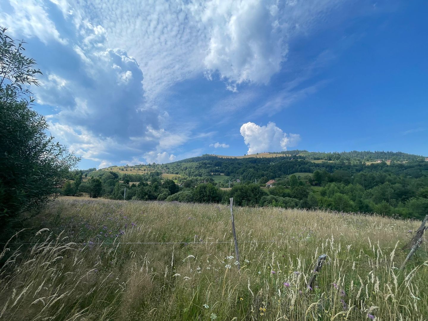 Teren intravilan I Loc deosebit, inconjurat de padure I Vladeasa - Poză 1