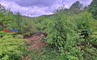 AZURA Imobiliare - Casa cu Teren Budeasa Galasesti - Poză 35