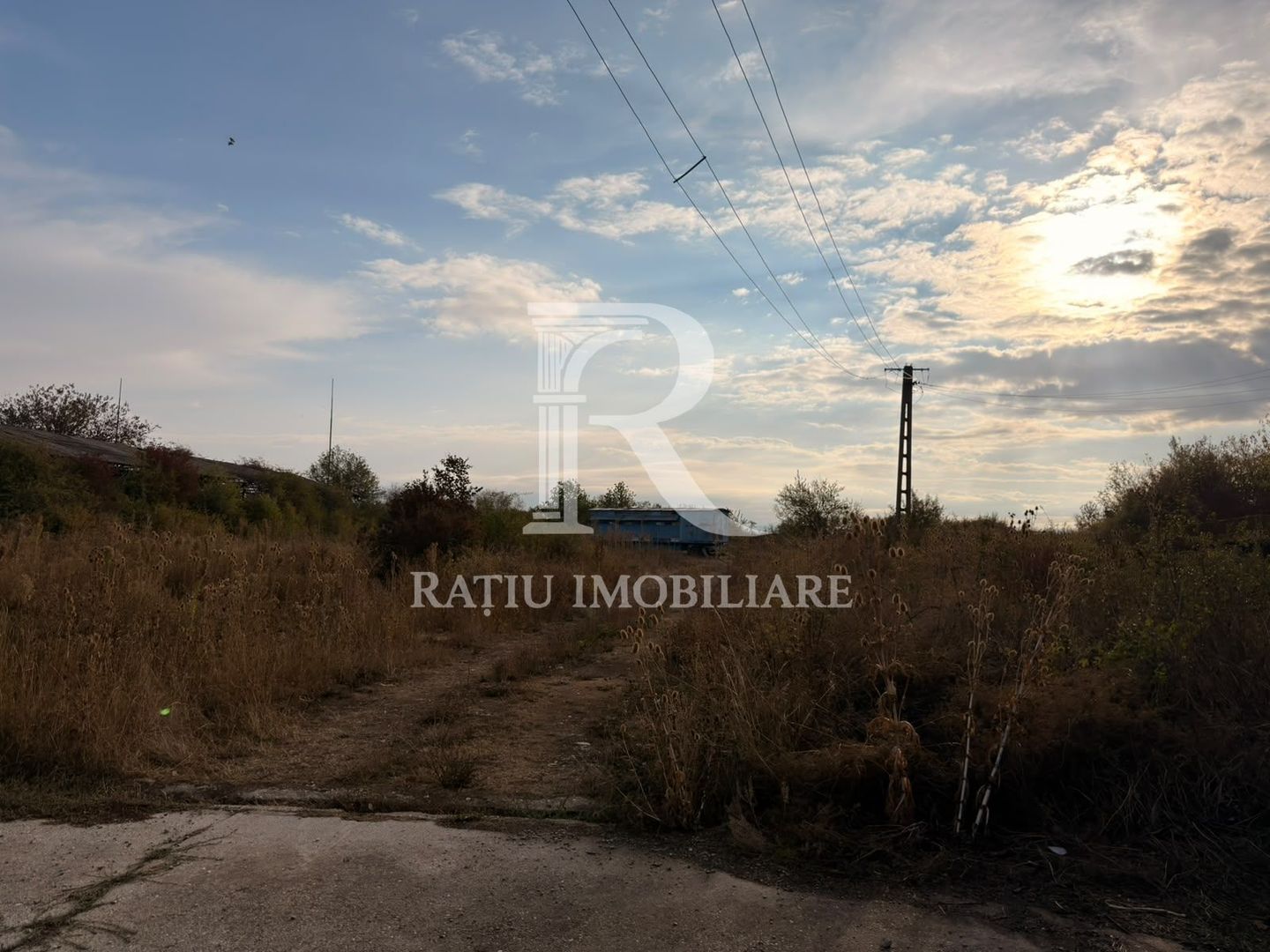Fermă Sărand | Bihor | 25.659 mp teren intravilan - Poză 27