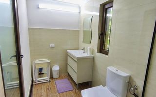 Casă P+1 de vânzare | Cicârlău | 11 ari teren - Poză 9