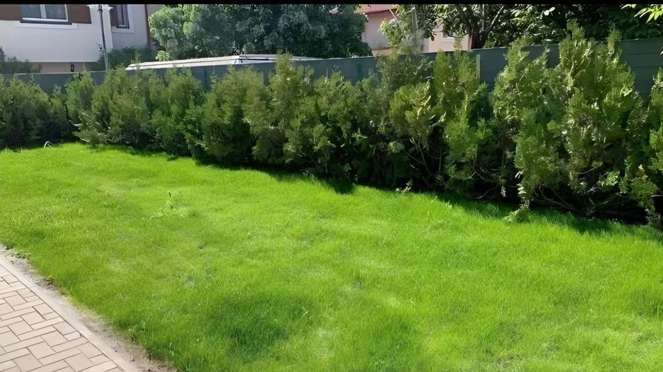 Vila individuală | 4 camere + birou | 300 mp | 3 parcări | Pipera - Poză 12