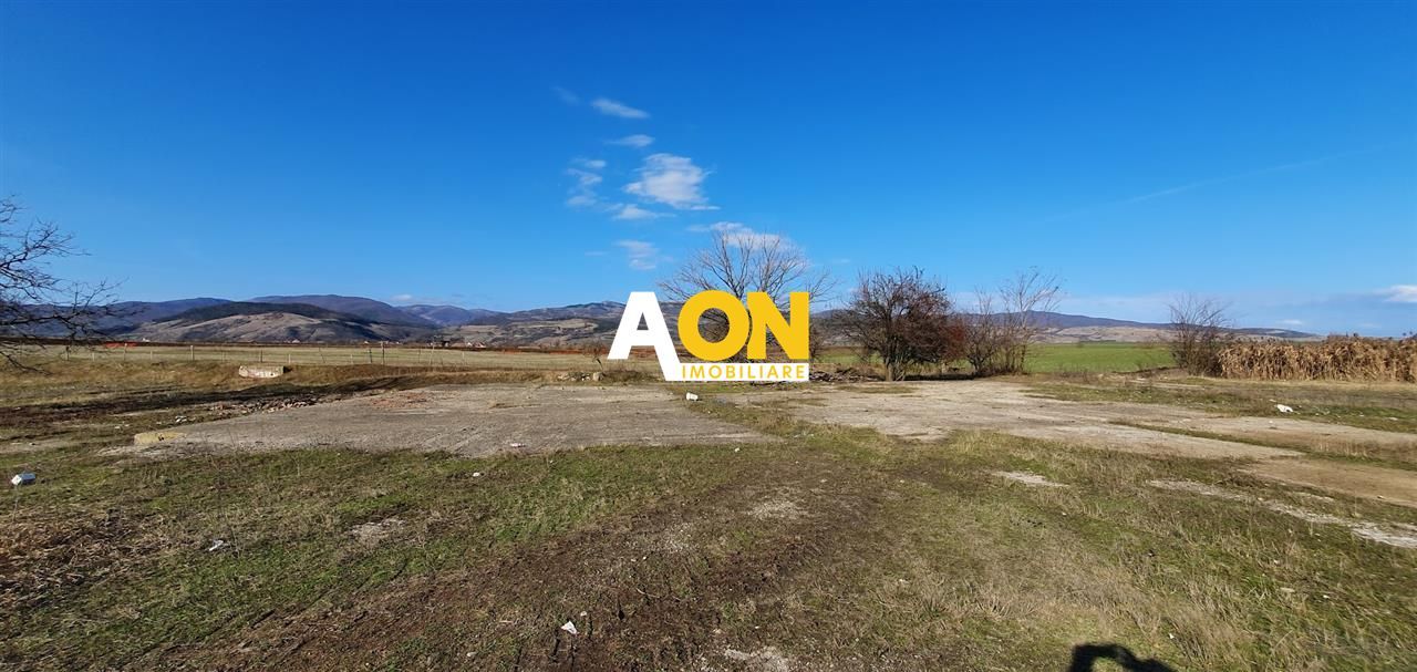 Teren industrial 44.200 mp, Vințu de Jos, Oportunitate de investitie - Poză 5