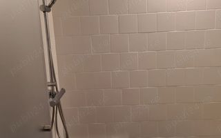 Apart deosebit pe malul Begai - Poză 8