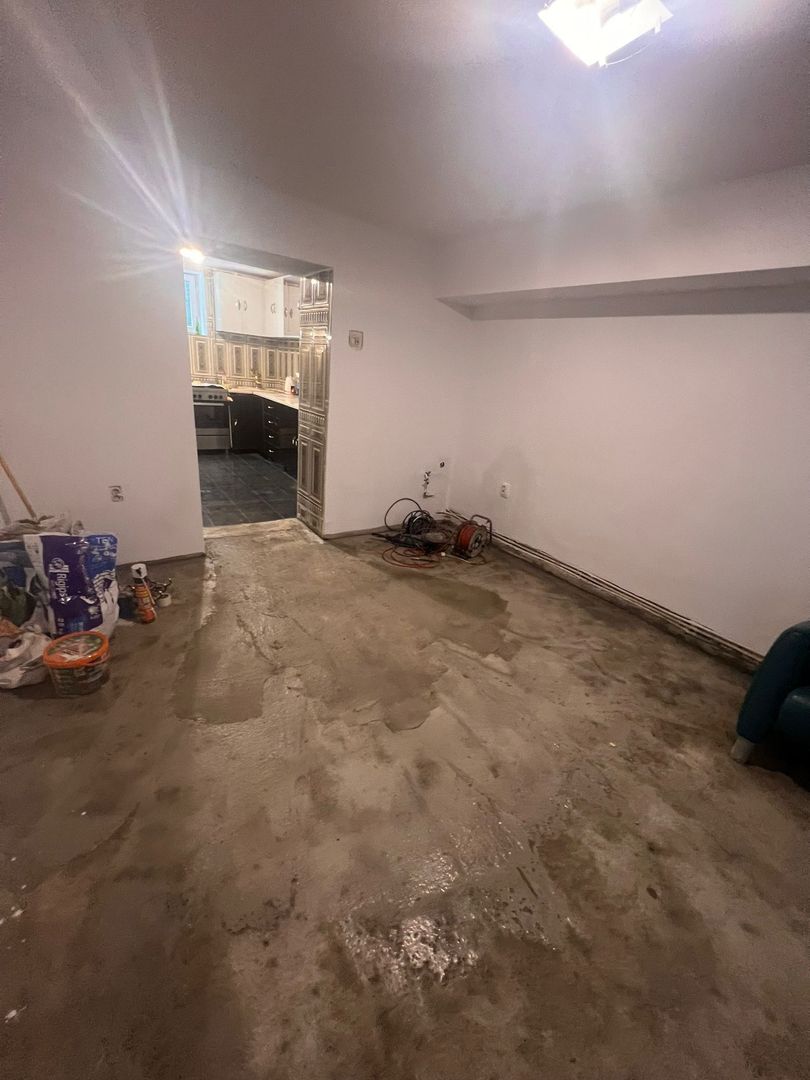 Casa de vanzare in Gruia - Poză 11