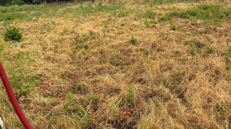 Teren 175 mp in Fratelia - Poză 3