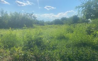Vanzare teren intravilan cu dubla deschidere - Sacuieni - Poză 4