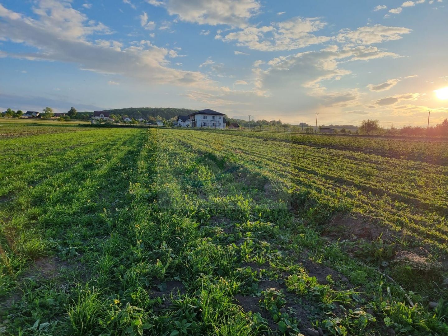 Teren intravila Ilișești - Poză 4