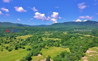 AZURA Imobiliare Pitesti - Casă de vacanță, Nucșoara! - Poză 23