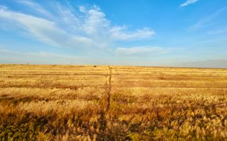 Teren Daia 75000 mp cu balta 30000 mp izvoare - Poză 3