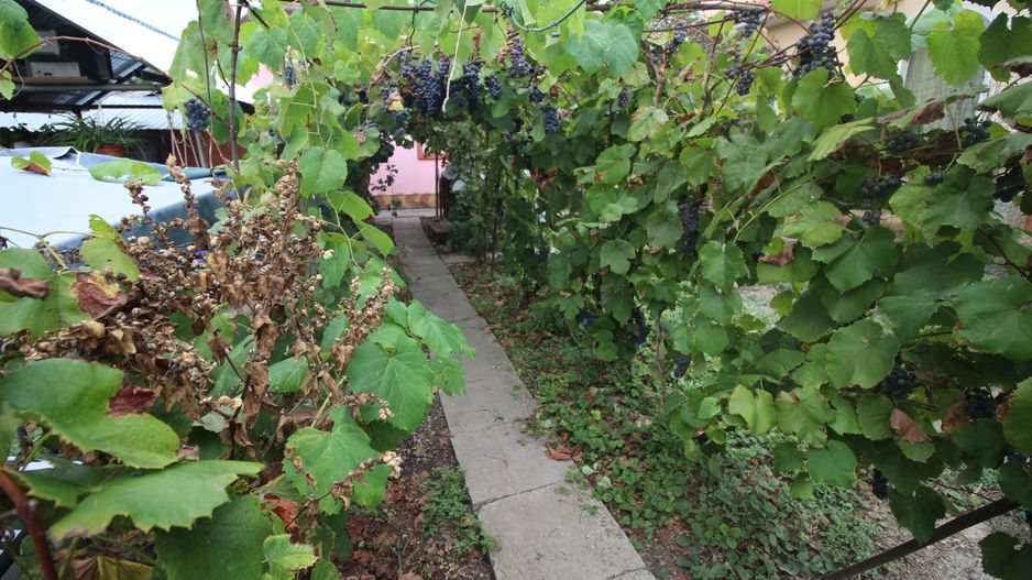 Teren pentru duplex/casa individuala Zona Mehala - Poză 2