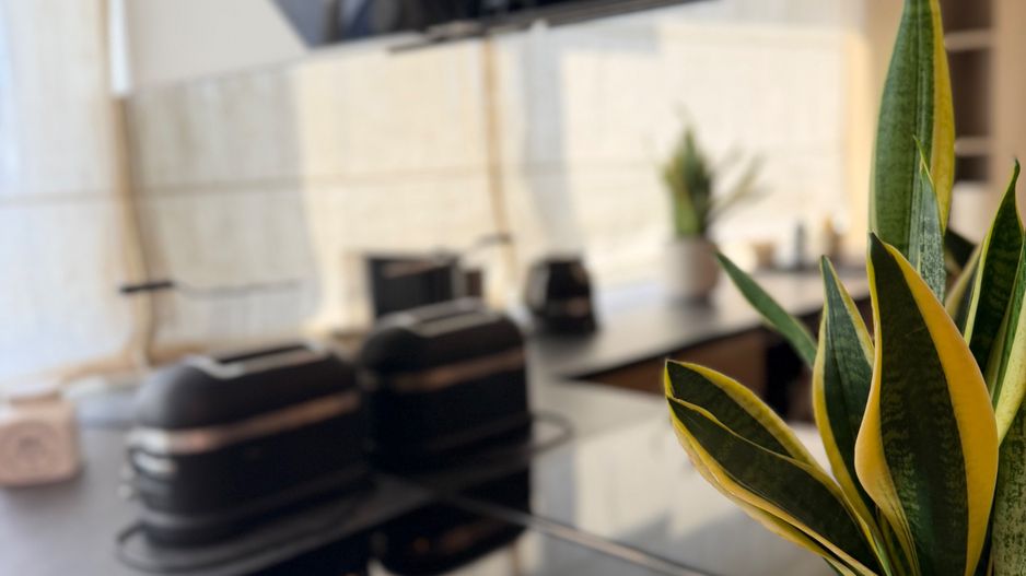 Apartament PREMIUM cu curte, terasă și lift cu acces direct în living - Poză 33