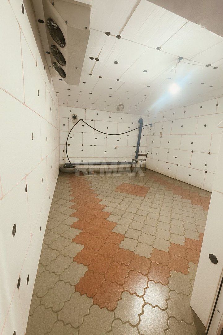 Proprietate cu casă, teren, sere și sistem de irigare – 15 min de Orhei - Poză 7