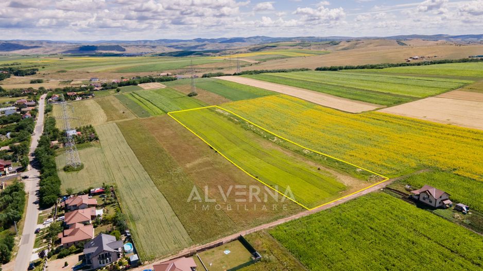 Teren constructii 10 parcele - 900mp | front 25m  |  Jucu de Sus - Poză 5