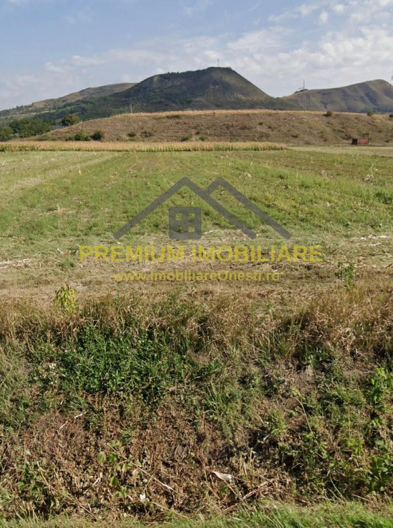 Teren 7.400 mp, deschidere 40 m la DN11, Târgu Trotuș - Poză 2