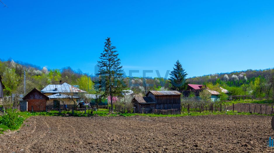 Casă și teren de vânzare, sat Buda, Blăgești, Bacău - Poză 30