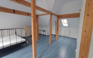 Vila centrala 5 camere | Calea Calarasi | Pretabil notariat/birouri/rezidential - Poză 12