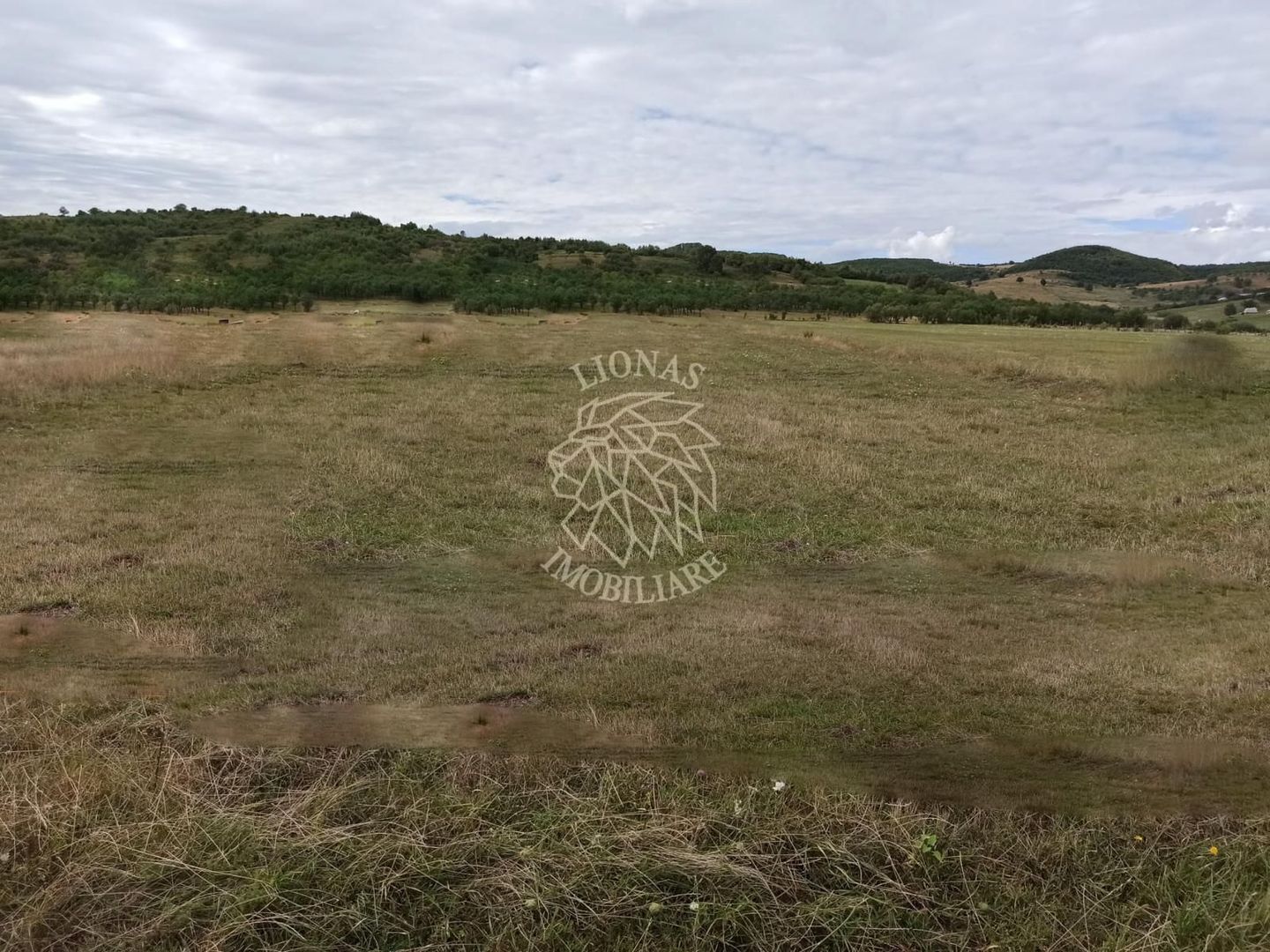 TEREN INTRAVILAN 5000 mp-ideal case,hale-Livezile PRET PROMO! - Poză 2