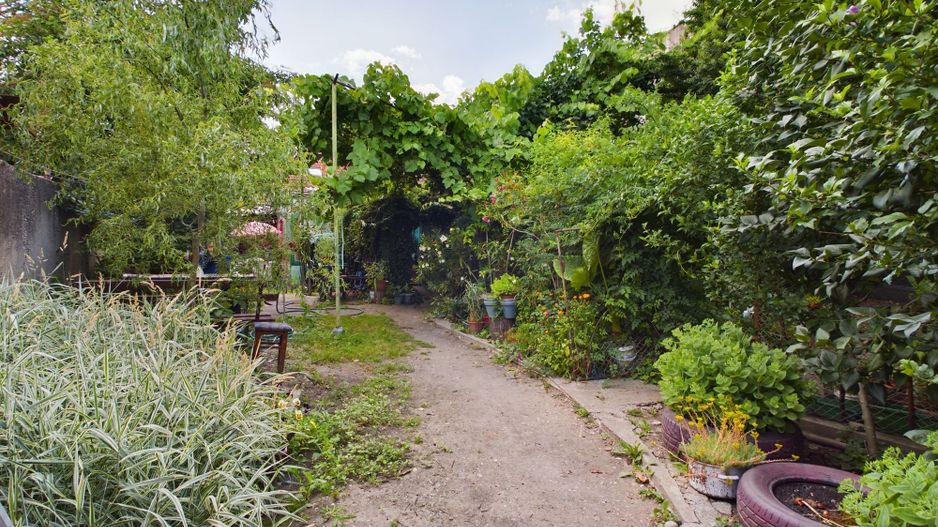 Casă în Aradul Nou - Poză 1