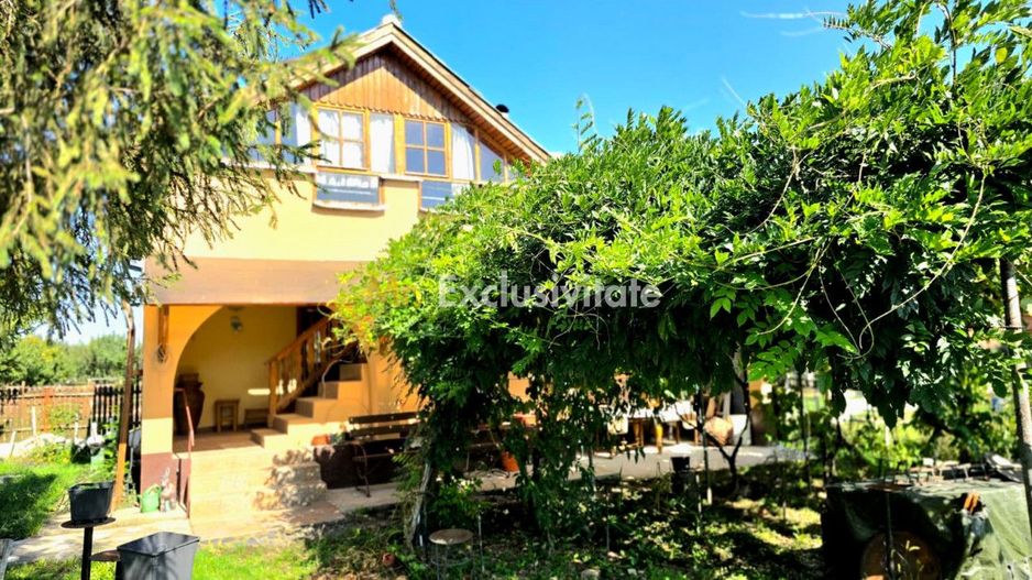 casa 3 camere Viile Satu Mare - Poză 1
