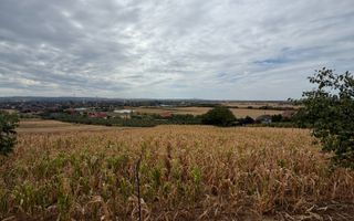 Teren intravilan 1.770 mp – Uileacu de Criș, Tileagd - Poză 2