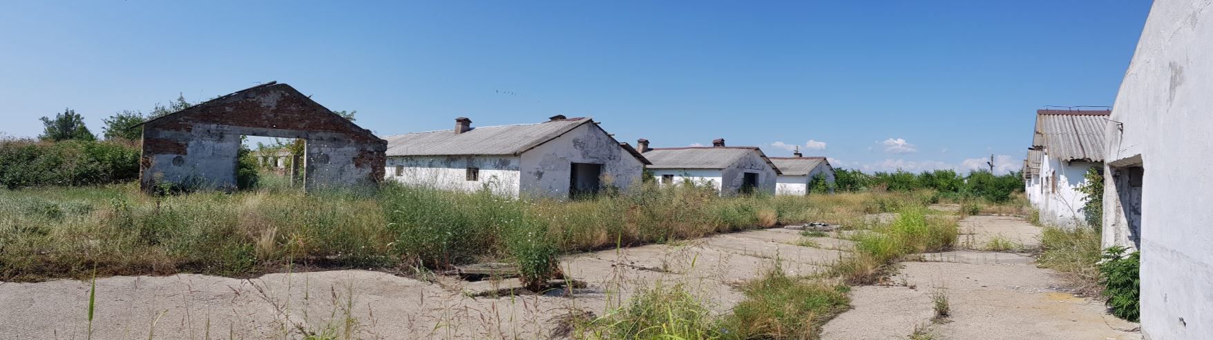 Ferma zootehnica Precistanu - Poză 1