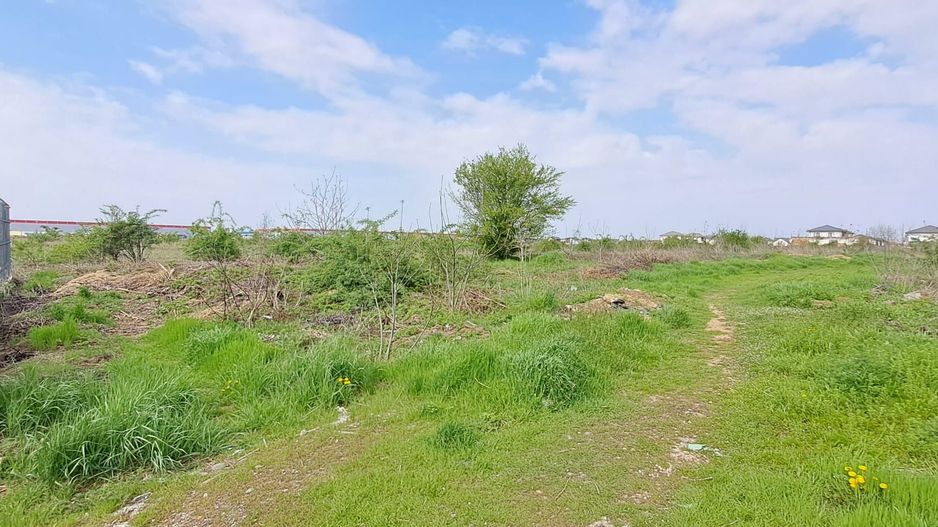 DRAGOMIRESTI DEAL - TEREN 2500 mp, utilitati, STB, pretabil investitie - Poză 3