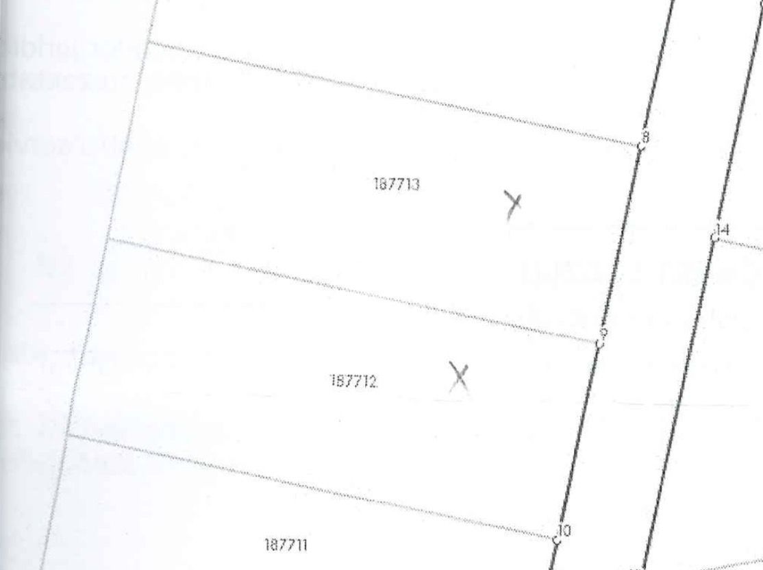 Teren 1000 mp | Zona Balta Blonda - Poză 5