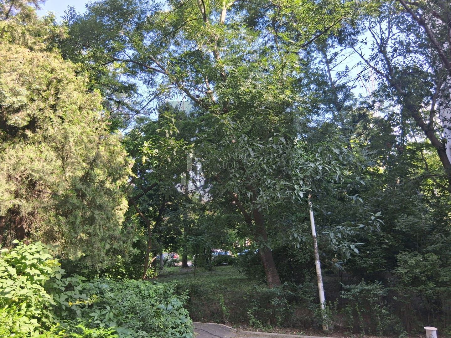 OCAZIE Apartament 3 camere Drumul Taberei 4 min de metrou - Poză 4