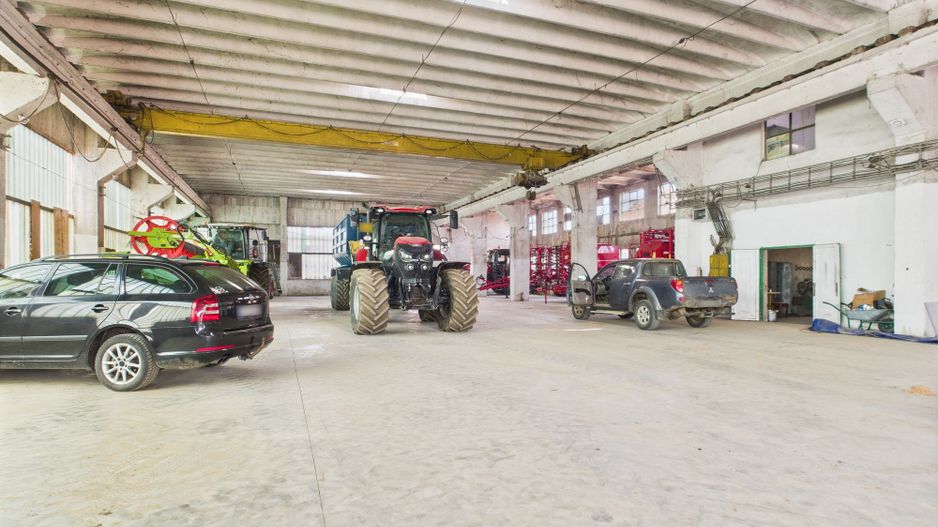 Complex industrial cu hale și teren  în Orțișoara - Poză 9
