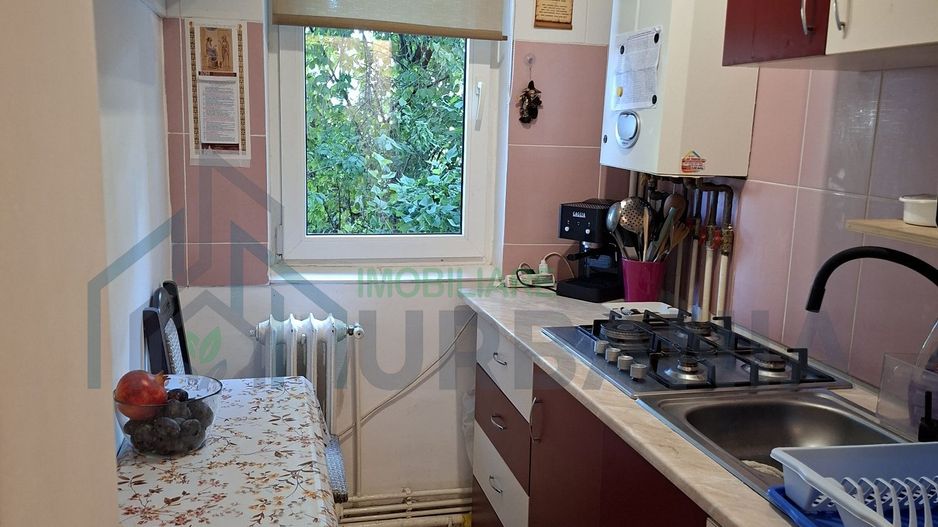 Apartament 2 camere decomandate, Parter, Zona Alexandru (Miron Costin) - Poză 6