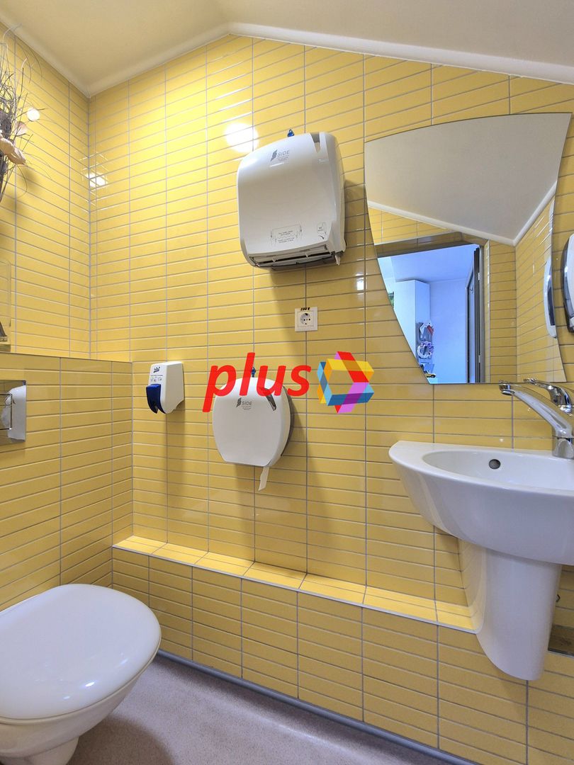 Proprietar - casa 5 camere singur in curte zona Brasovechi Crisan - Poză 11