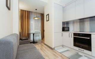 Chirie, apartament, 2 camere, str. Tricolorului, Centru - Poză 2