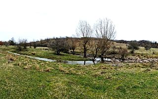 Terenuri extravilane de vânzare – Vizma & Crivobara, comuna Secaș, jud. Timiș - Poză 11