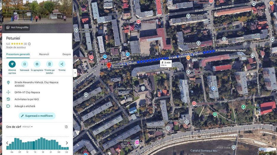 | Apartament cu 3 camere de vanzare | Cartierul Grigorescu | Etaj intermediar | - Poză 8