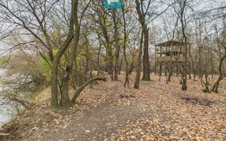 Teren pe malul Muresului- oportunitati multiple - Poză 20