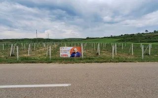 Teren intravilan cu PLANTATIE DE GOJII de vanzare in Racari - Poză 11