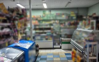 Vânzare spatiu comercial, 125 mp, sat Zgurița, r- nul. Drochia. - Poză 6