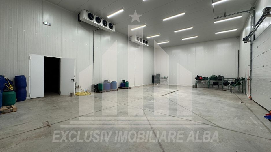 Spatiu industrial frigorific cu atmosfera controlata - Poză 3