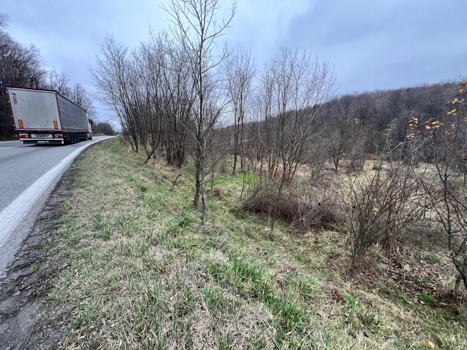 Teren intravilan 6.500 m²–Deschidere 144 ml drum european E81, km 35, Morăresti - Poză 2
