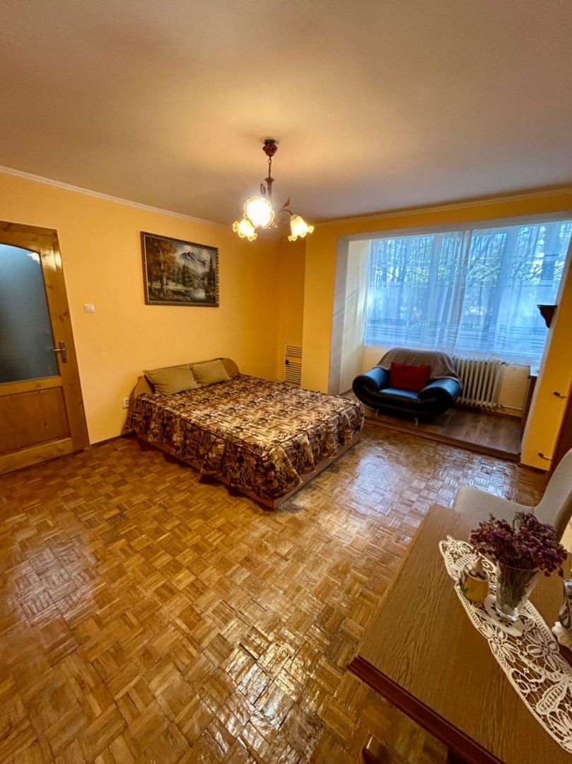 Apartament 2 Camere Splaiul Crisanei - Poză 1