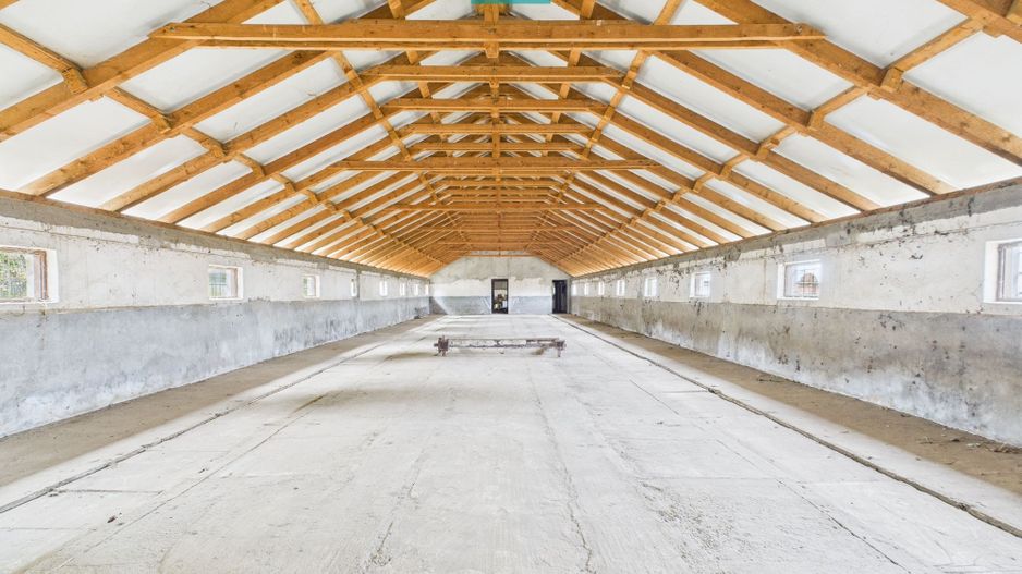 Hală pentru producție / fermă zootehnică  - Variaș - Poză 2