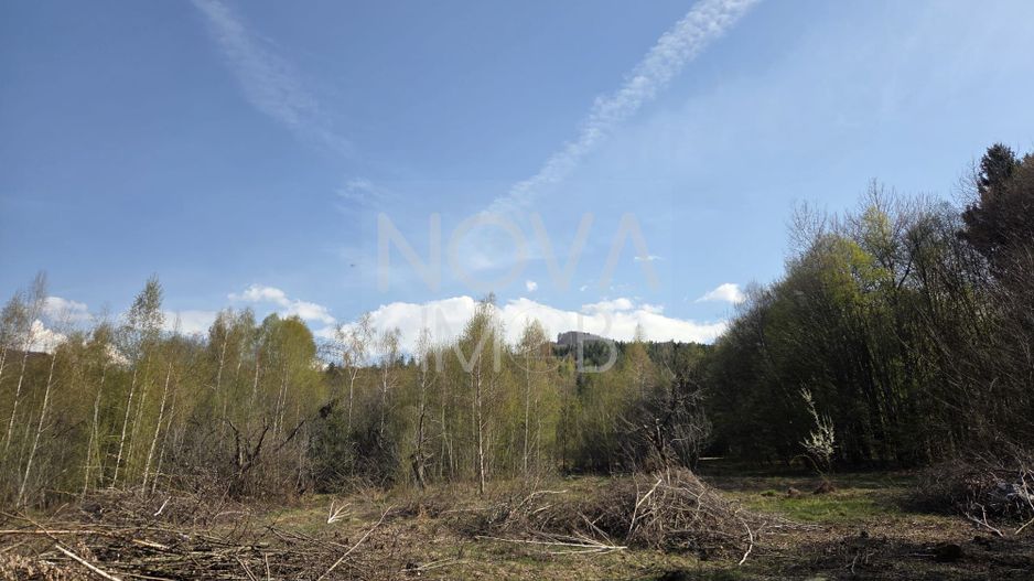 Teren intravilan de vanzare - Vistisoara - Poză 2