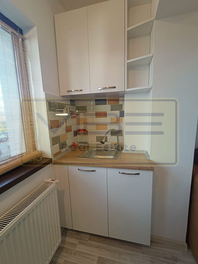 Garsoniera - 250 euro - Vișan ! - Poză 4