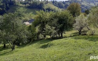 Teren Moieciu de Jos - Poză 2