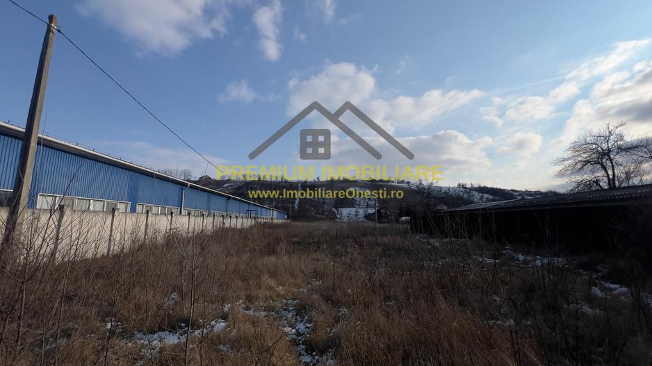 Teren intravilan de vanzare in Onesti - Poză 5
