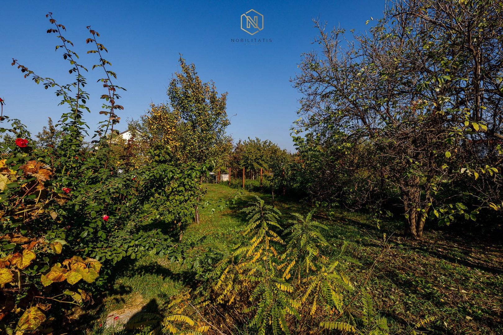 Pensiunea Bella Arad - O afacere profitabilă, la cheie! - Poză 48