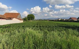 teren intravilan 700mp str. Fagurului, Stupini - Poză 2