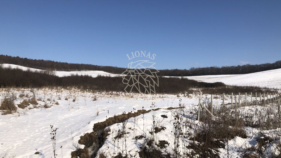 Teren 10000 si o parcela de 50 ari-oportunitate investitie-Jelna - Poză 3