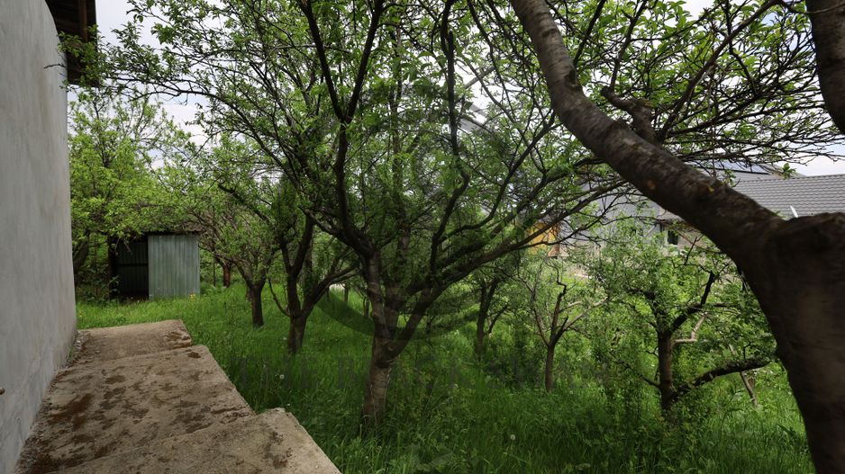 Casa 4 camere de vanzare | 1311 mp | Varfurile, Prahova | Comision 0% - Poză 7