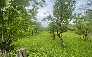 Teren intravilan Sotrile 6762 mp – Investitie, camping, agroturism - Poză 1